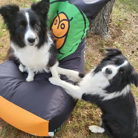 Dziupla Dębki-2